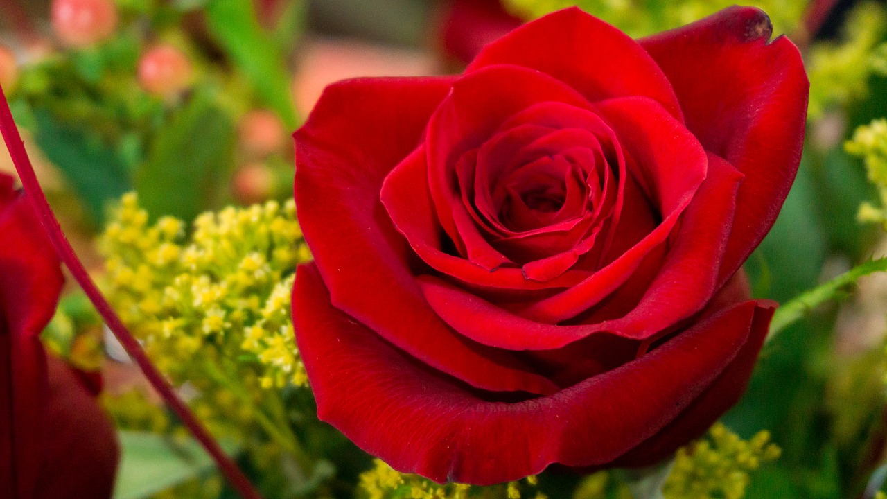 幸せの国ブータンのワンチュク国王とペマ王妃 なれそめは 子供は